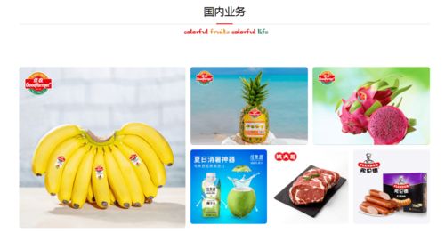攜手并進(jìn)，共創(chuàng)未來(lái) 佳農(nóng)集團(tuán)與巧廚供應(yīng)鏈合作項(xiàng)目正式啟動(dòng)